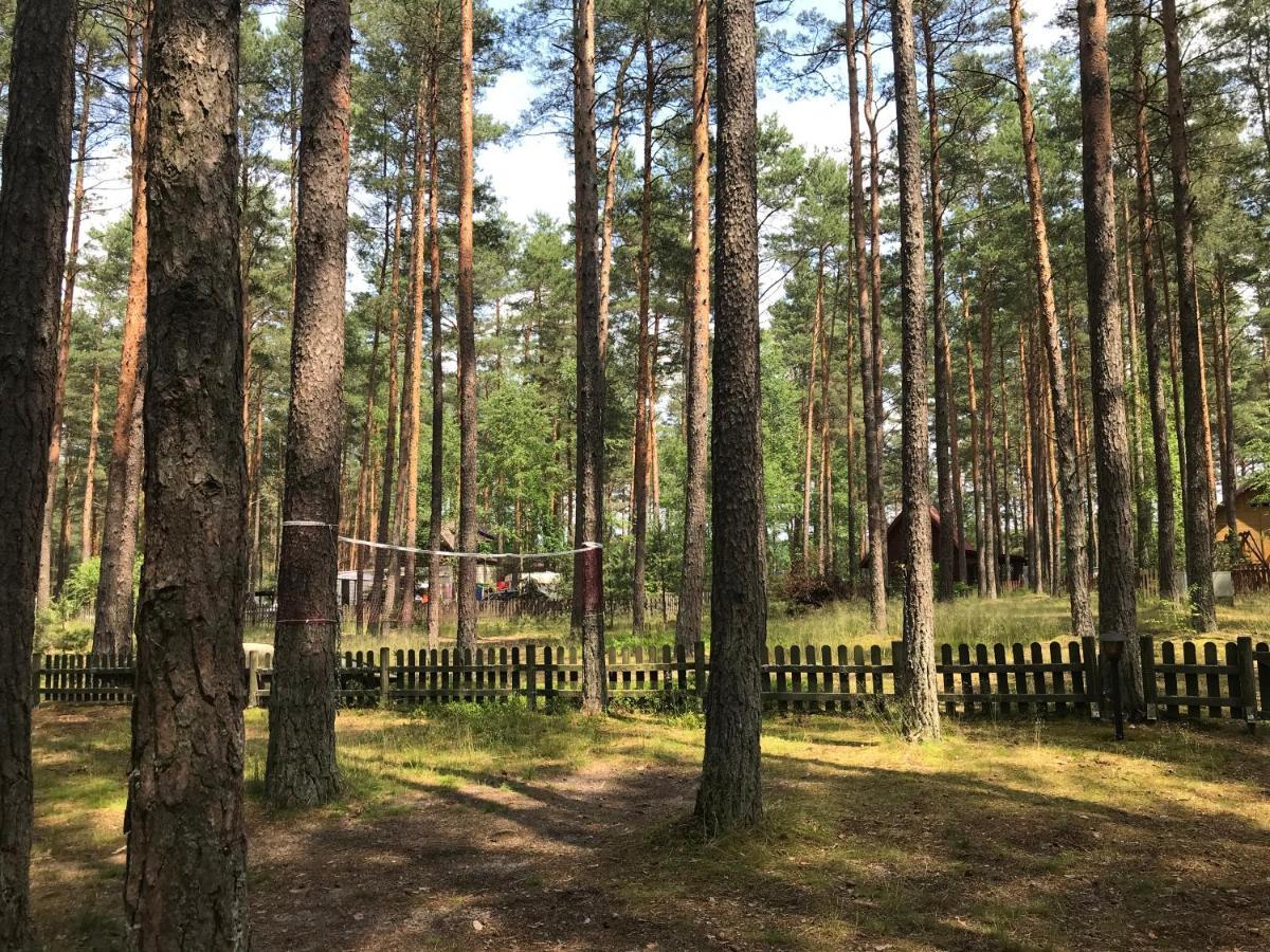 Domek Борськ Екстер'єр фото