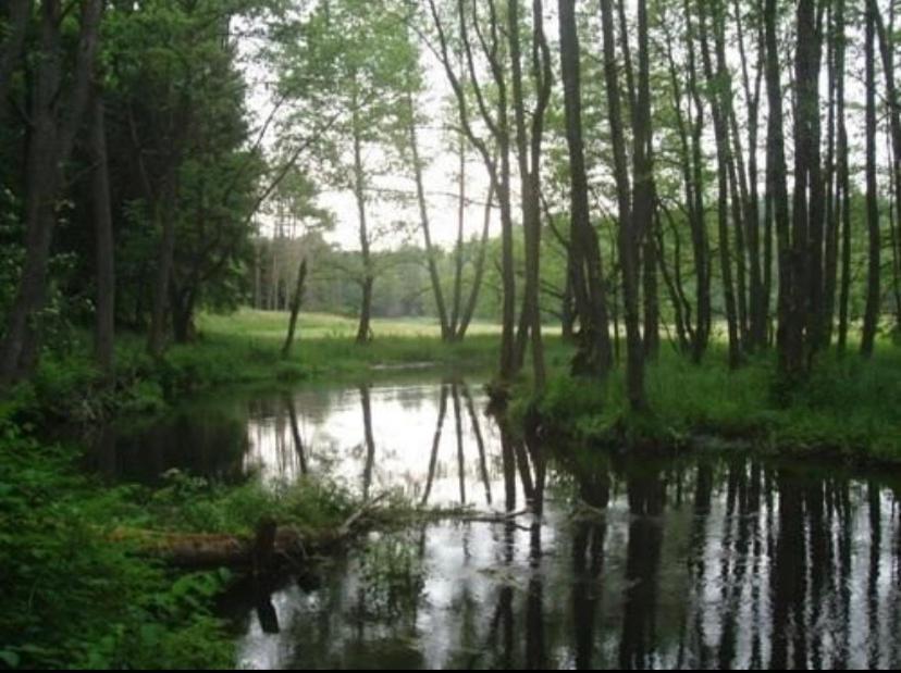 Domek Борськ Екстер'єр фото