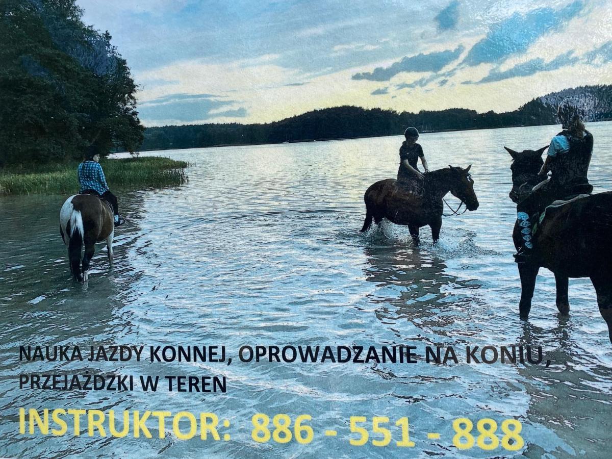 Domek Борськ Екстер'єр фото
